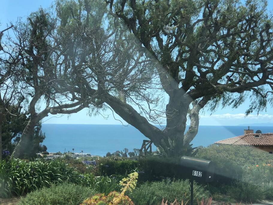 30 Pct Off!! Limited Time! Malibu Charming Getaway With King Bed, Near Beach Bagian luar foto